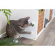 Jucărie pentru Pisici, Minge Catnip cu Suport, 5 cm