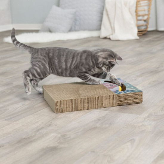 Carton de Zgâriat cu Două Mingi și Catnip pentru Pisici, 38 x 5 x 30 cm, Multicolor