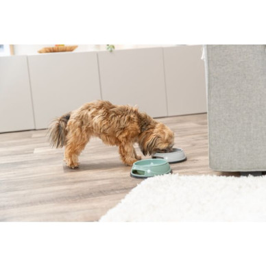 Castron Plastic Antiderapant Greu, 1.5 l / 20 cm, Diverse Culori