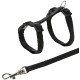Ham și Lesă pentru Pisici Junior, 19–31 cm / 8 mm, 1.20 m, Diferite Culori