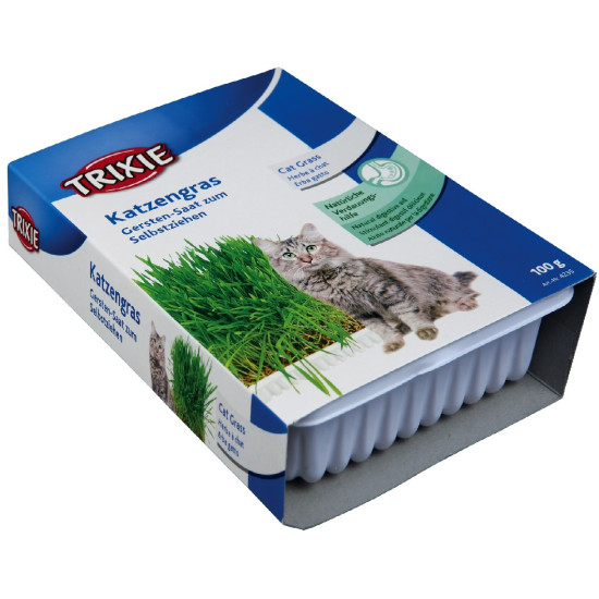 Iarbă din Semințe de Orz, în Castron Plastic, 100 g