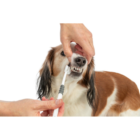 Trixie – periuță de dinți cu 3 capete pentru câini și pisici, 18 cm, alb/gri