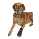 Trixie Pantofi Walker Care Comfort pentru Câini, Impermeabili, M, 2 buc, Negru