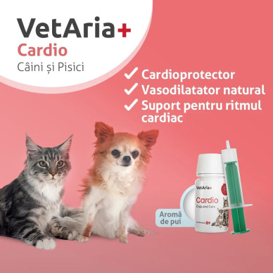 VetAria+ Cardio, suspensie orala caini si pisici, 45 ml