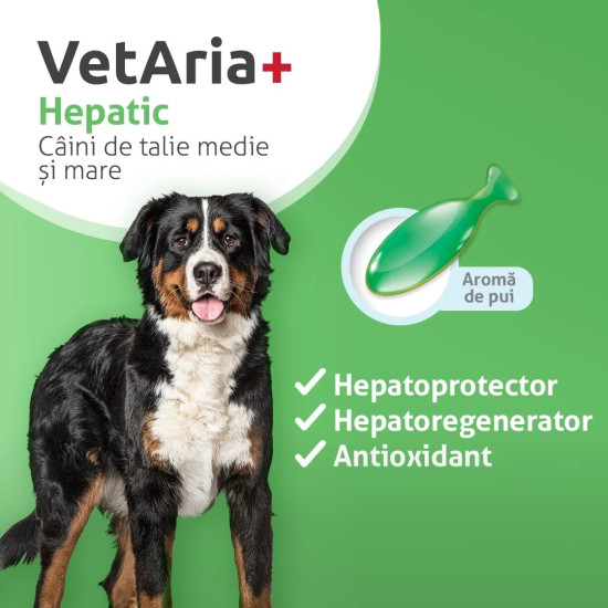 VetAria Hepatic – Supliment pentru Susținerea Ficatului la Câini de Talie Medie și Mare, 30 Capsule