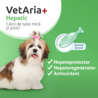 VetAria Hepatic – Supliment pentru Susținerea Ficatului la Câini de Talie Mică și Pisici, 30 Capsule