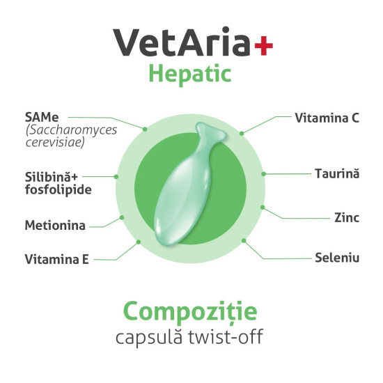 VetAria Hepatic – Supliment pentru Susținerea Ficatului la Câini de Talie Mică și Pisici, 30 Capsule