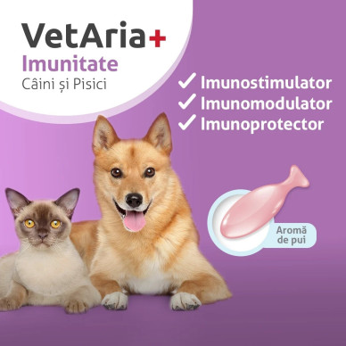 VetAria Imunitate – Supliment pentru Susținerea Sistemului Imunitar la Câini și Pisici, 30 Capsule