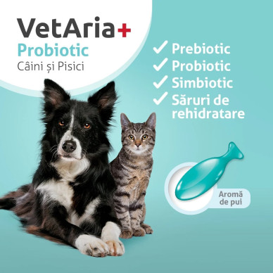 VetAria Probiotic – Supliment pentru Echilibrarea Florei Intestinale la Câini și Pisici, 30 Capsule