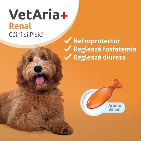 VetAria Renal – Supliment pentru Susținerea Funcției Renale la Câini și Pisici, 30 Capsule