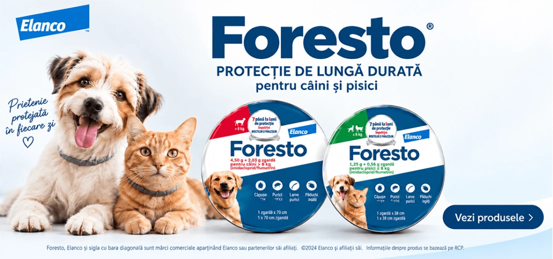 FrontPro