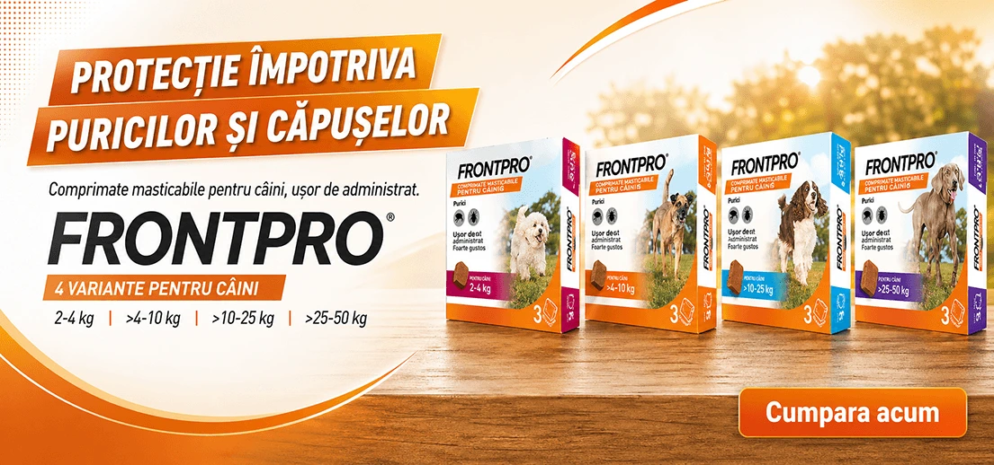 FrontPro