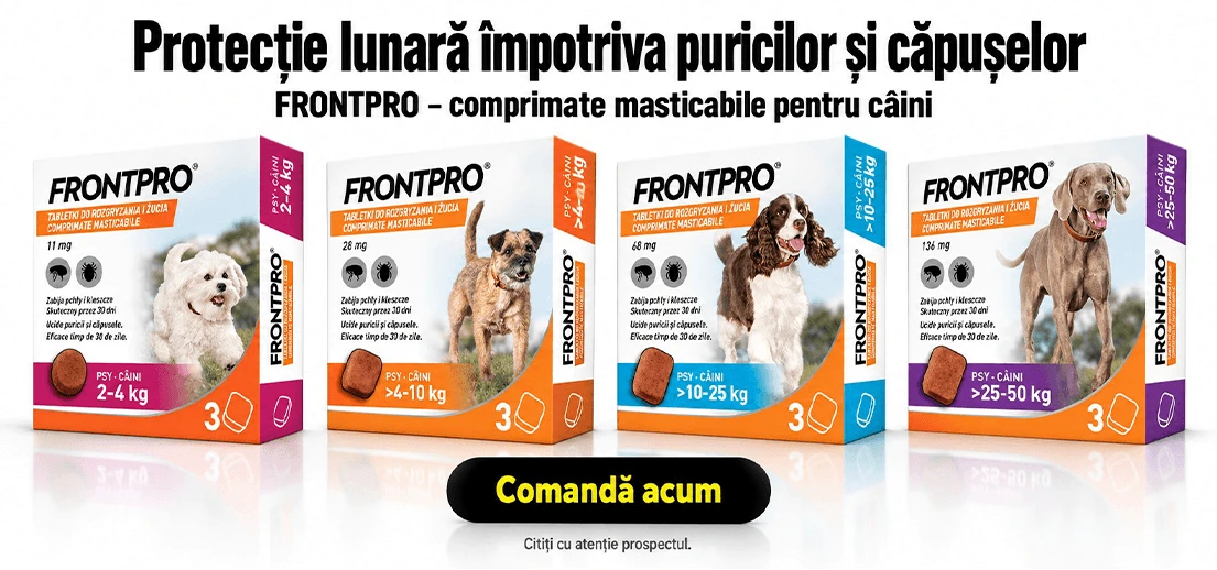 FrontPro