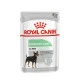 Royal Canin Digestive Care All Sizes – Hrană Umedă Pate pentru Câini, 85 g