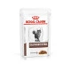 Royal Canin Gastrointestinal in sos, hrana umeda pisici  probleme digestie, 85 g